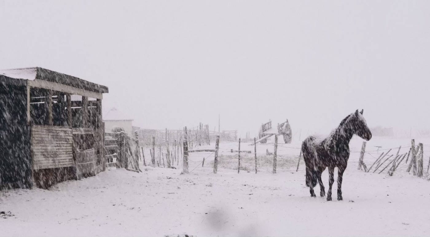 Feminists Insha’allah - La Révolution des Femmes | Feriel Ben Mahmoud | 2015