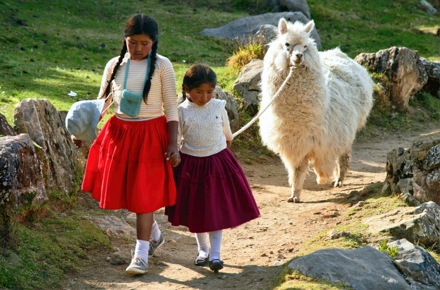Feminists Insha’allah - La Révolution des Femmes | Feriel Ben Mahmoud | 2015