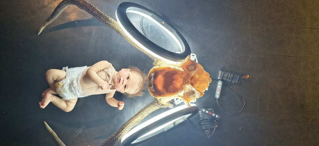 Bild für Reborn (keine Textalternative gegeben)