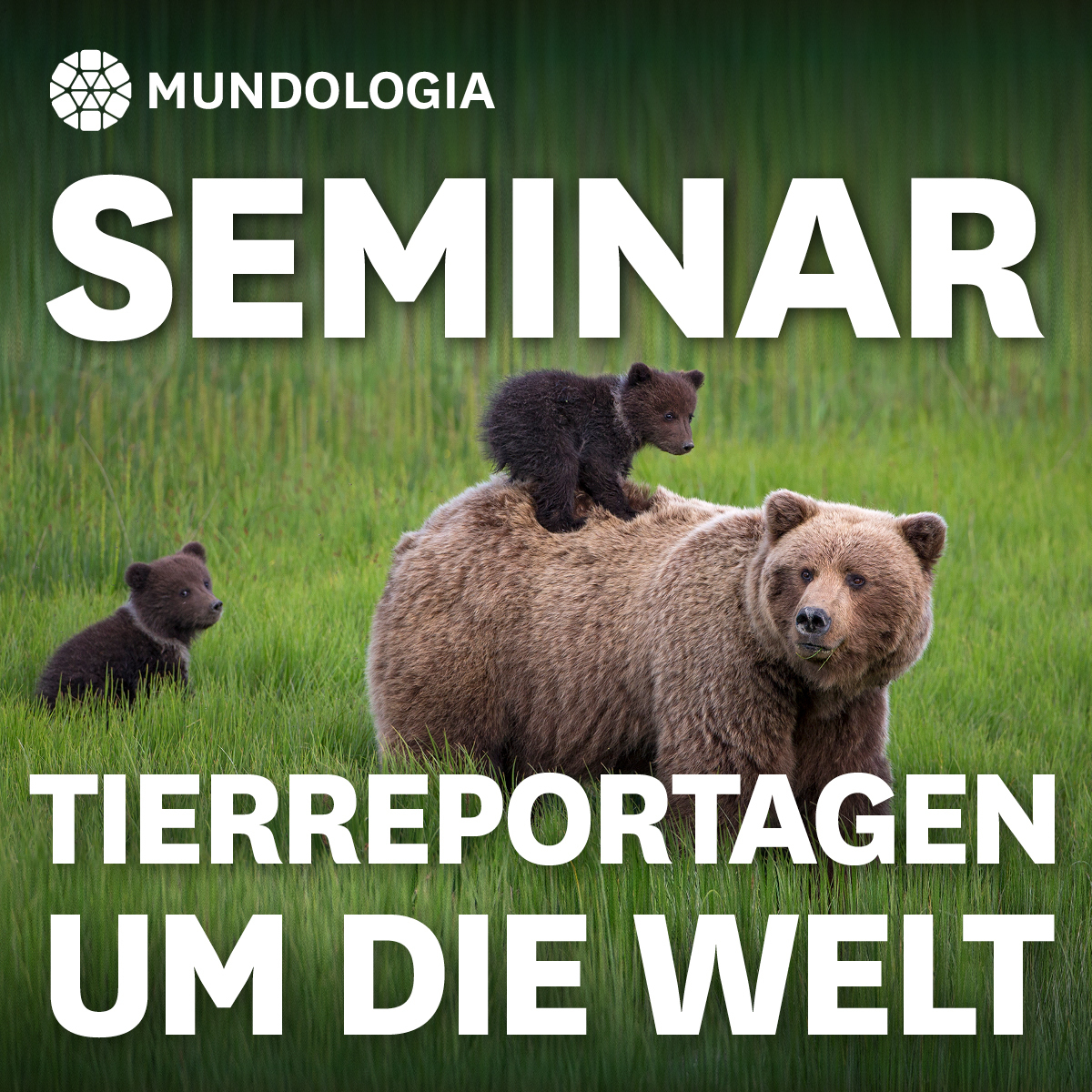 Bild für MUNDOLOGIA-Seminar: Für Tierreportagen um die Welt (keine Textalternative gegeben)