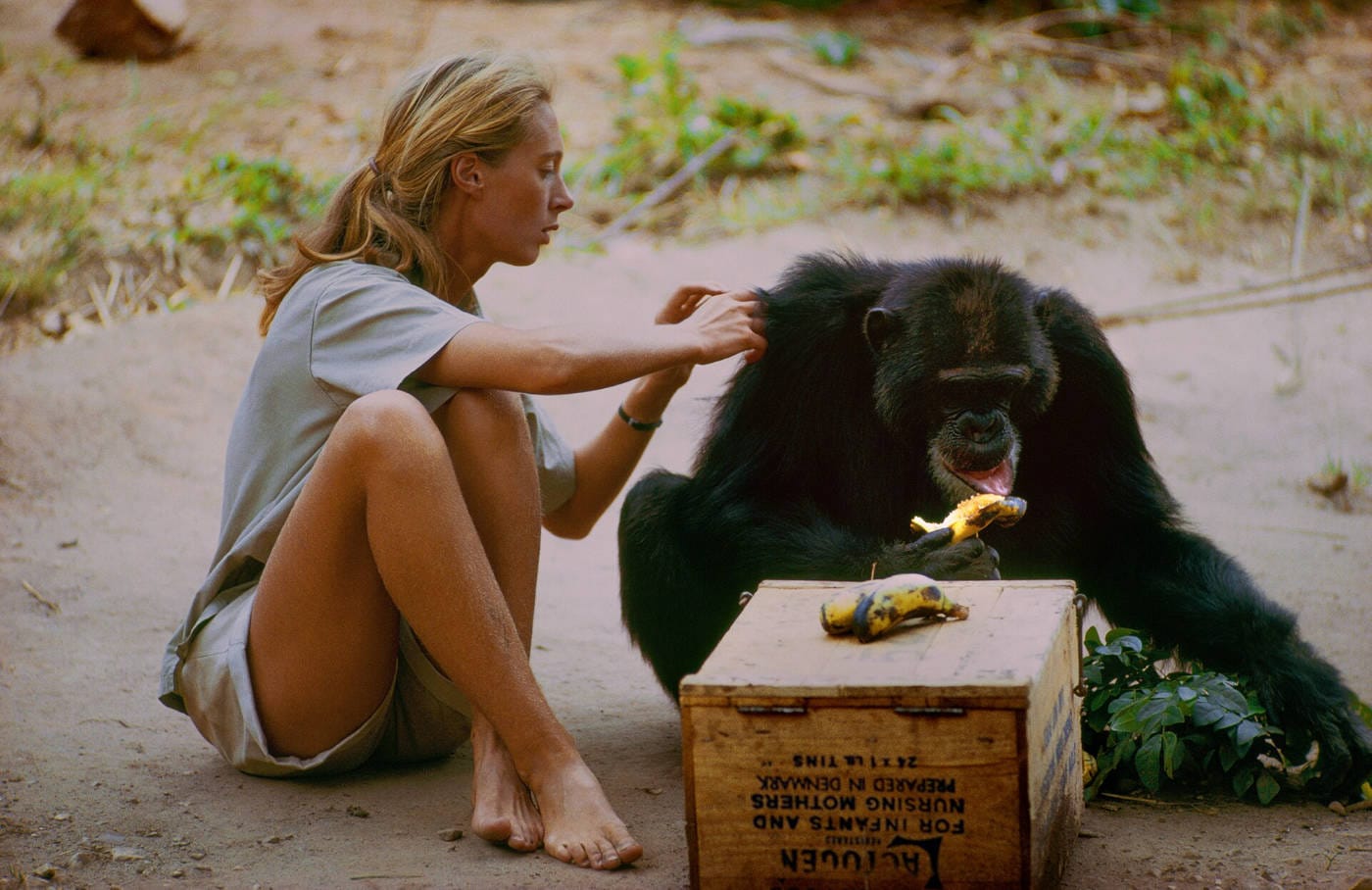 Feminists Insha’allah - La Révolution des Femmes | Feriel Ben Mahmoud | 2015