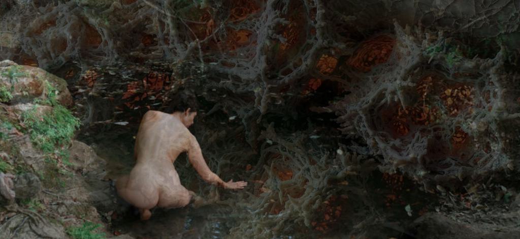 Bild für UNTAMED BODY - Choreografien des Wilden (keine Textalternative gegeben)