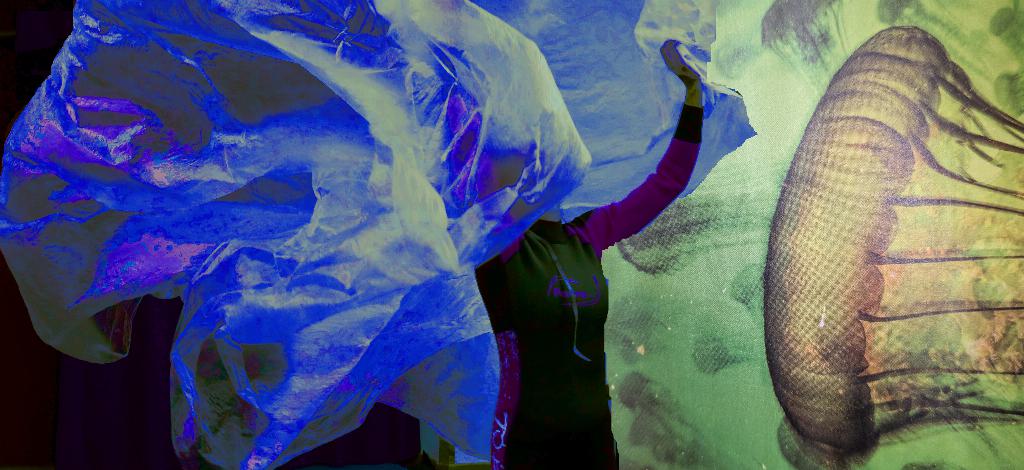 Bild für Premiere |
Oktopus – eine Reise in die Tiefe (keine Textalternative gegeben)