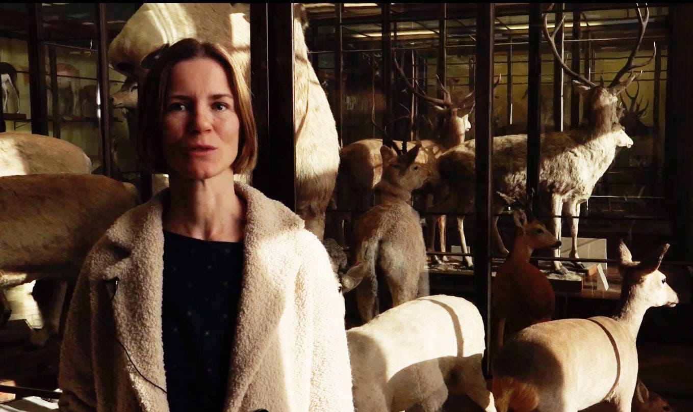 Feminists Insha’allah - La Révolution des Femmes | Feriel Ben Mahmoud | 2015