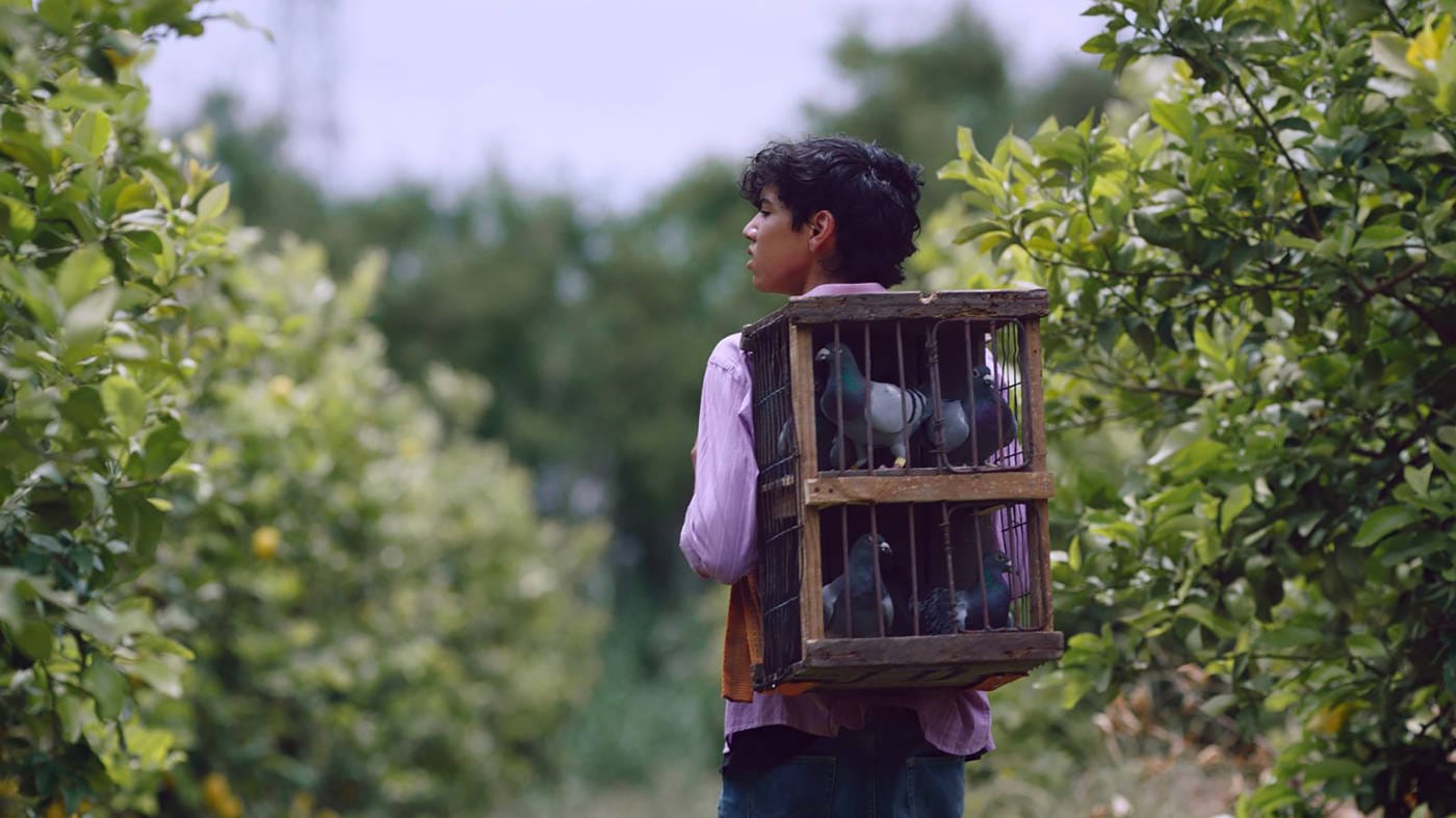 Feminists Insha’allah - La Révolution des Femmes | Feriel Ben Mahmoud | 2015