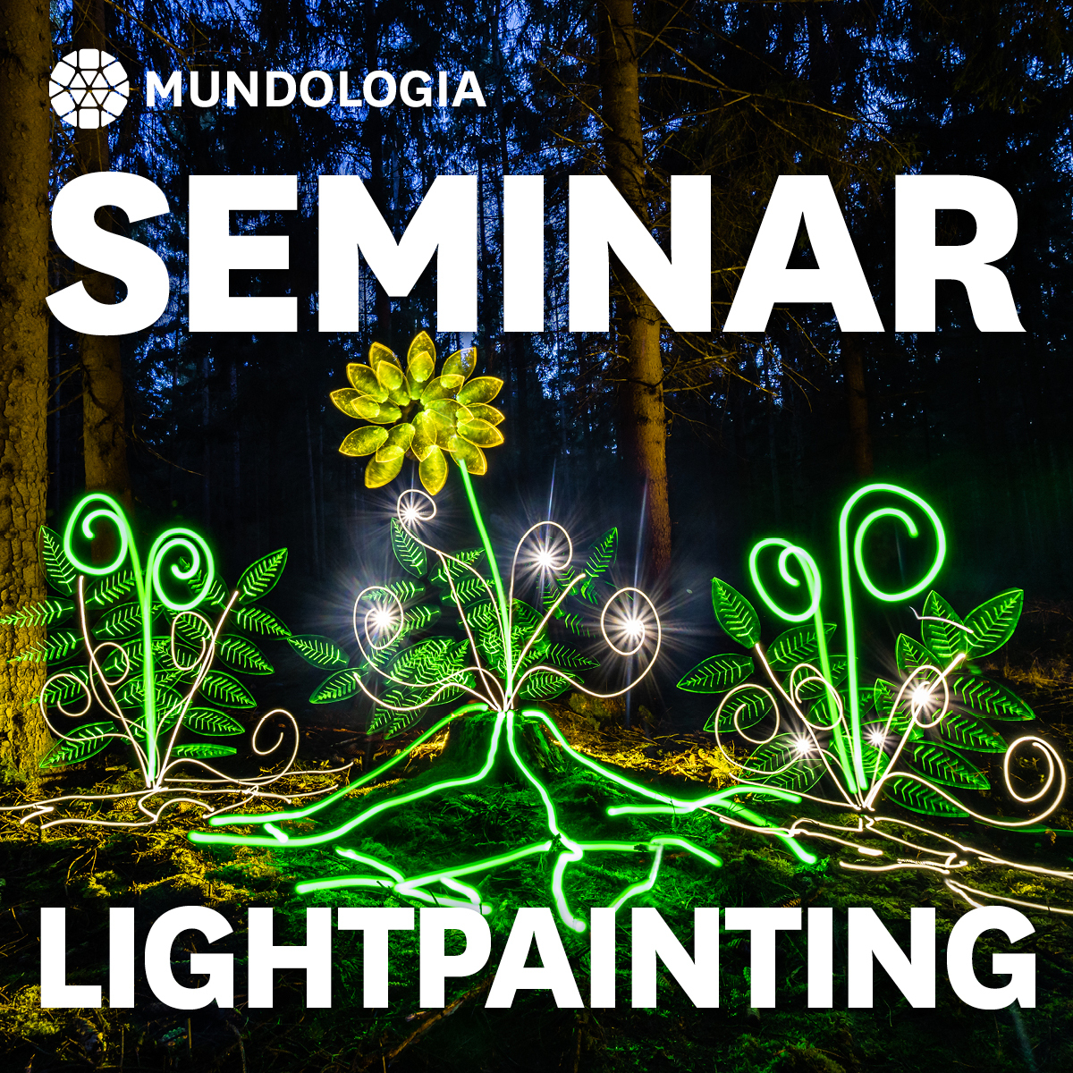 Bild für MUNDOLOGIA-Seminar: Lightpainting Theorie (keine Textalternative gegeben)